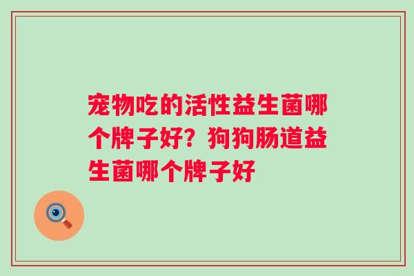 宠物吃的活性益生菌哪个牌子好？狗狗肠道益生菌哪个牌子好