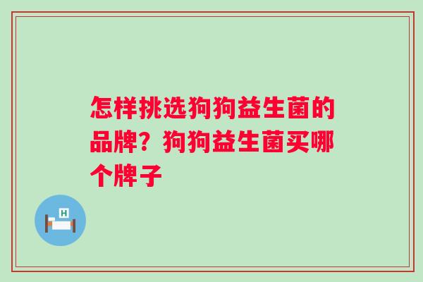怎样挑选狗狗益生菌的品牌？狗狗益生菌买哪个牌子