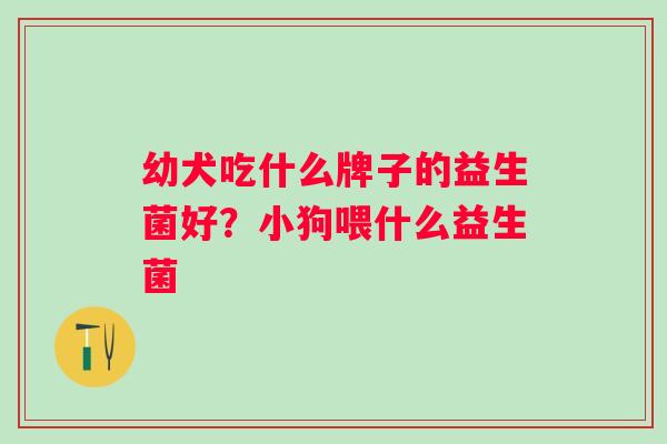 幼犬吃什么牌子的益生菌好？小狗喂什么益生菌