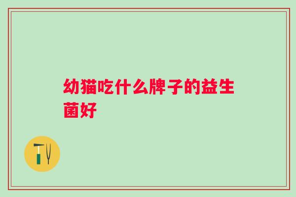 幼猫吃什么牌子的益生菌好