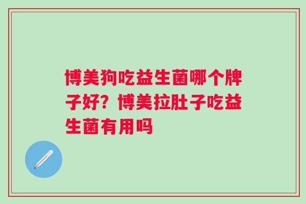 博美狗吃益生菌哪个牌子好？博美拉肚子吃益生菌有用吗
