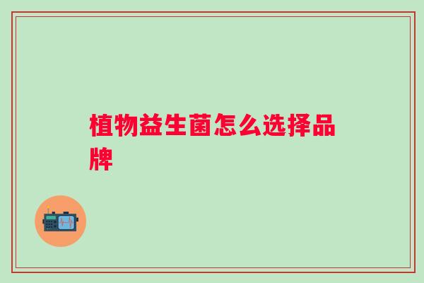 植物益生菌怎么选择品牌