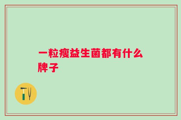 一粒瘦益生菌都有什么牌子