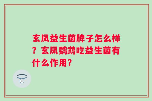 玄凤益生菌牌子怎么样？玄凤鹦鹉吃益生菌有什么作用？