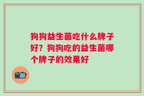狗狗益生菌吃什么牌子好？狗狗吃的益生菌哪个牌子的效果好