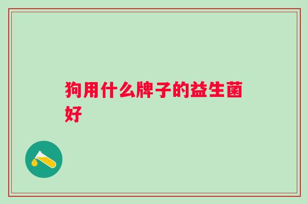 狗用什么牌子的益生菌好