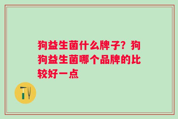 狗益生菌什么牌子？狗狗益生菌哪个品牌的比较好一点