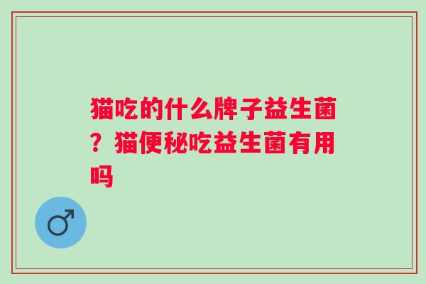 猫吃的什么牌子益生菌?猫吃益生菌有用吗 猫吃的什么牌子益生菌?猫吃益生菌有用吗