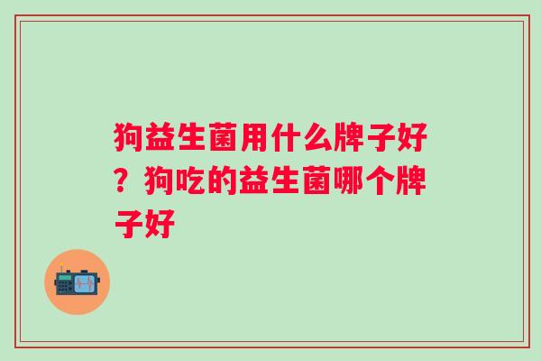 狗益生菌用什么牌子好?狗吃的益生菌哪个牌子好 狗益生菌用什么牌子好?狗吃的益生菌哪个牌子好