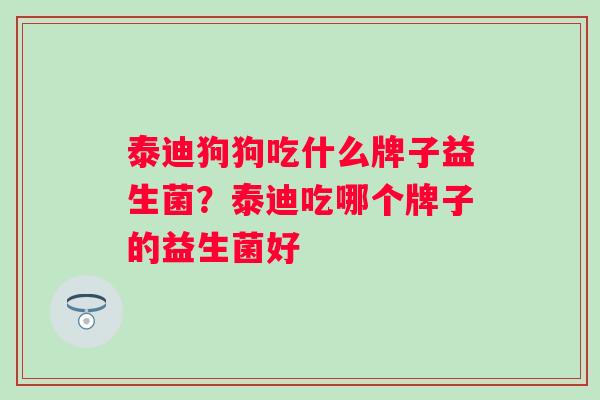 泰迪狗狗吃什么牌子益生菌?泰迪吃哪个牌子的益生菌好 泰迪狗狗吃什么牌子益生菌?泰迪吃哪个牌子的益生菌好