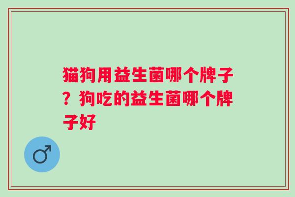 猫狗用益生菌哪个牌子?狗吃的益生菌哪个牌子好 猫狗用益生菌哪个牌子?狗吃的益生菌哪个牌子好