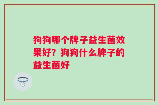 狗狗哪个牌子益生菌效果好?狗狗什么牌子的益生菌好 狗狗哪个牌子益生菌效果好?狗狗什么牌子的益生菌好