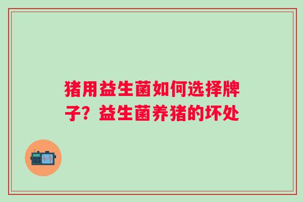 猪用益生菌如何选择牌子？益生菌养猪的坏处