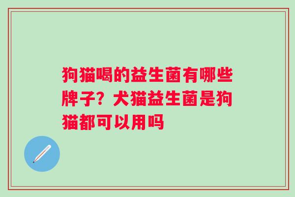 狗猫喝的益生菌有哪些牌子?犬猫益生菌是狗猫都可以用吗 狗猫喝的益生菌有哪些牌子?犬猫益生菌是狗猫都可以用吗