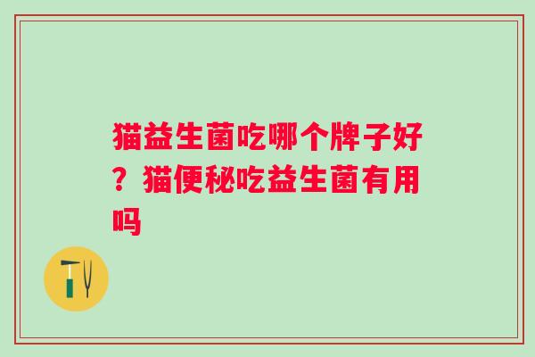 猫益生菌吃哪个牌子好？猫吃益生菌有用吗