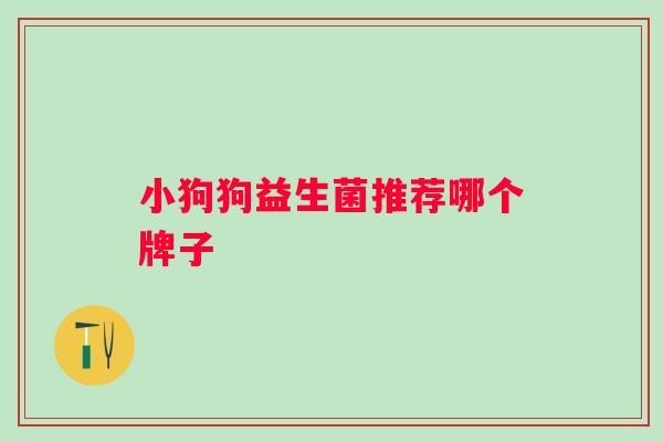 小狗狗益生菌推荐哪个牌子 小狗狗益生菌推荐哪个牌子