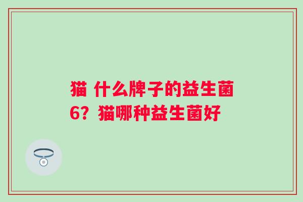 猫 什么牌子的益生菌6？猫哪种益生菌好