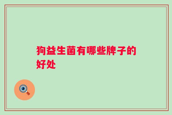 狗益生菌有哪些牌子的好处 狗益生菌有哪些牌子的好处