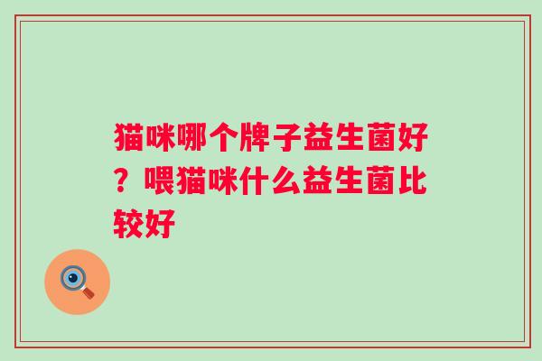 猫咪哪个牌子益生菌好？喂猫咪什么益生菌比较好