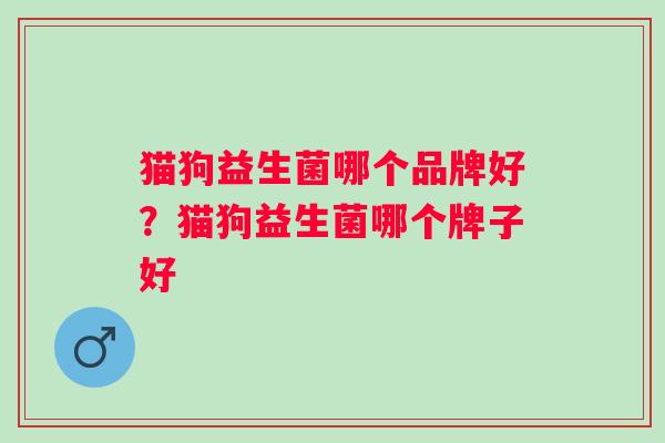 猫狗益生菌哪个品牌好?猫狗益生菌哪个牌子好 猫狗益生菌哪个品牌好?猫狗益生菌哪个牌子好