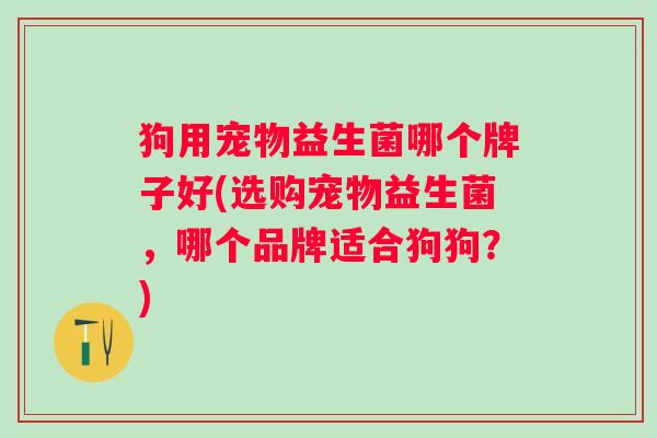狗用宠物益生菌哪个牌子好(选购宠物益生菌，哪个品牌适合狗狗？)
