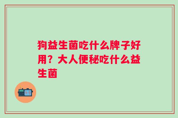狗益生菌吃什么牌子好用？大人吃什么益生菌
