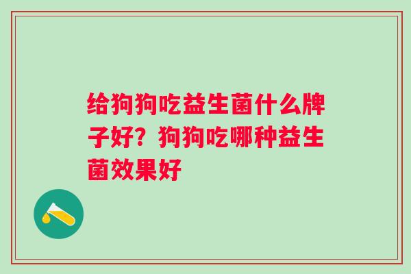 给狗狗吃益生菌什么牌子好？狗狗吃哪种益生菌效果好