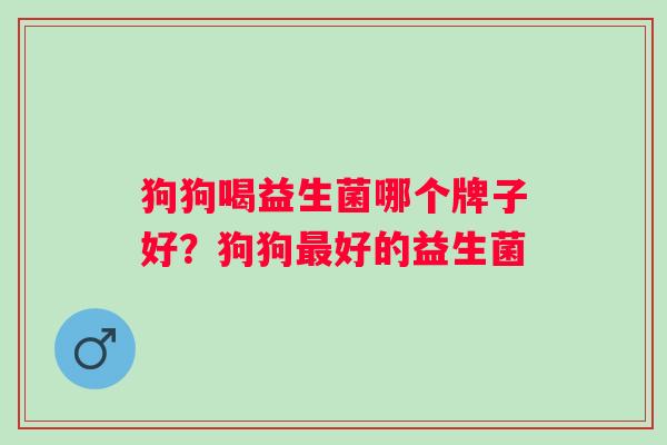 狗狗喝益生菌哪个牌子好？狗狗好的益生菌