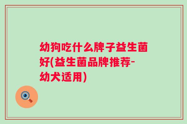 幼狗吃什么牌子益生菌好(益生菌品牌推荐-幼犬适用)