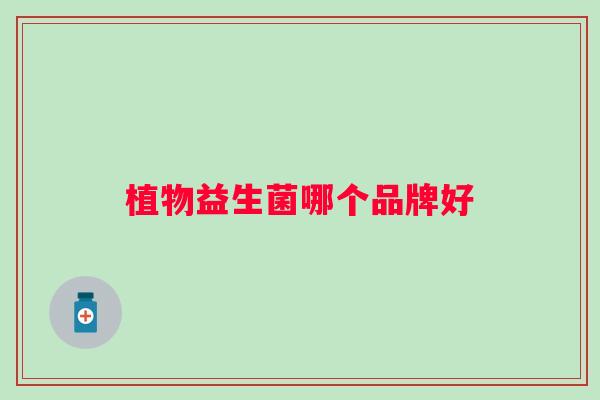 植物益生菌哪个品牌好