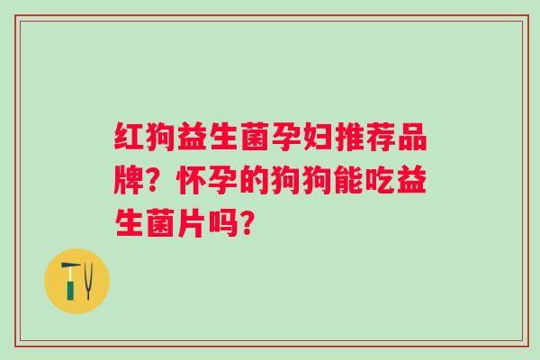 红狗益生菌孕妇推荐品牌?怀孕的狗狗能吃益生菌片吗? 红狗益生菌孕妇推荐品牌?怀孕的狗狗能吃益生菌片吗?