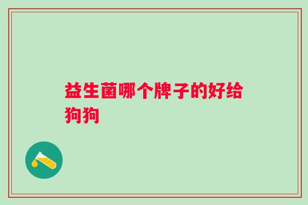 益生菌哪个牌子的好给狗狗 益生菌哪个牌子的好给狗狗