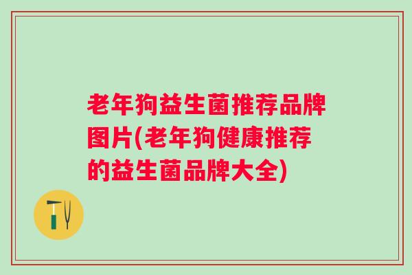 老年狗益生菌推荐品牌图片(老年狗健康推荐的益生菌品牌大全)