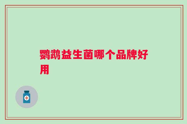 鹦鹉益生菌哪个品牌好用