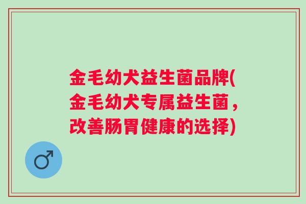 金毛幼犬益生菌品牌(金毛幼犬专属益生菌，改善肠胃健康的选择)