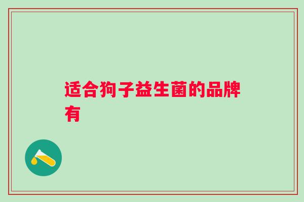 适合狗子益生菌的品牌有