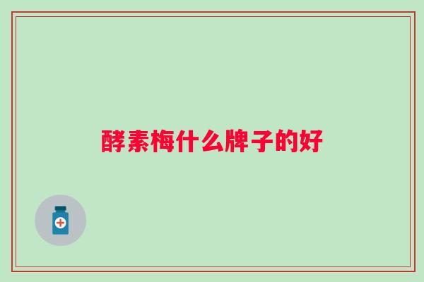 酵素梅什么牌子的好