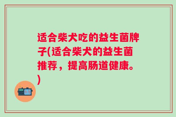 适合柴犬吃的益生菌牌子(适合柴犬的益生菌推荐，提高肠道健康。)