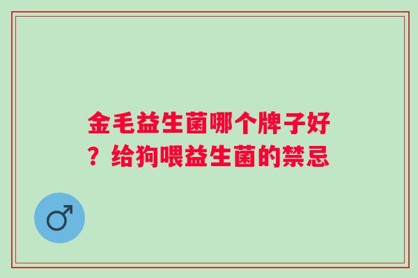 金毛益生菌哪个牌子好？给狗喂益生菌的禁忌