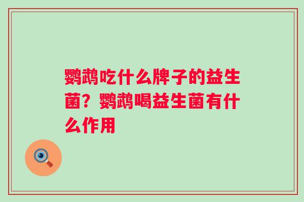 鹦鹉吃什么牌子的益生菌?鹦鹉喝益生菌有什么作用 鹦鹉吃什么牌子的益生菌?鹦鹉喝益生菌有什么作用