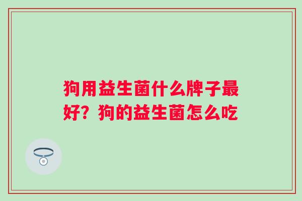 狗用益生菌什么牌子好?狗的益生菌怎么吃 狗用益生菌什么牌子好?狗的益生菌怎么吃