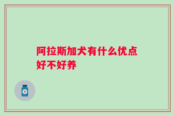 阿拉斯加犬有什么优点好不好养 阿拉斯加犬有什么优点好不好养
