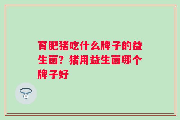 育肥猪吃什么牌子的益生菌？猪用益生菌哪个牌子好