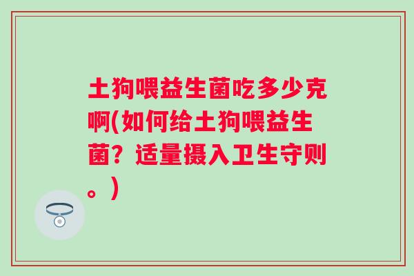 土狗喂益生菌吃多少克啊(如何给土狗喂益生菌？适量摄入卫生守则。)