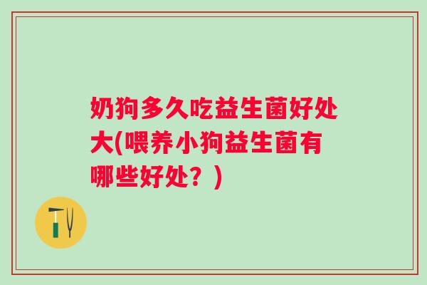 奶狗多久吃益生菌好处大(喂养小狗益生菌有哪些好处？)