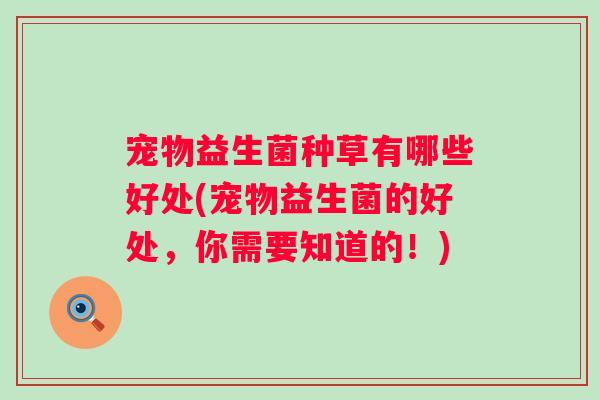宠物益生菌种草有哪些好处(宠物益生菌的好处，你需要知道的！)