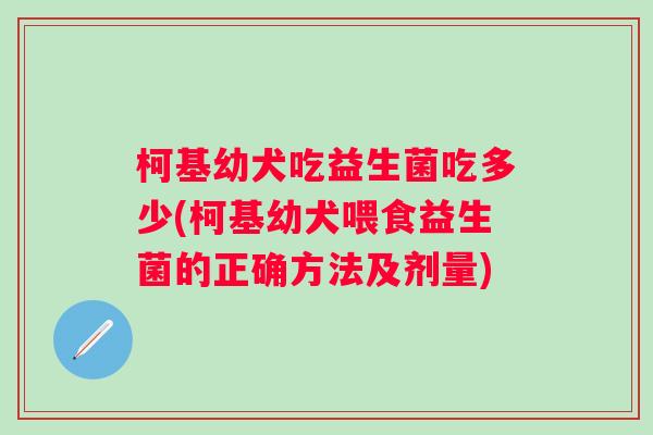 柯基幼犬吃益生菌吃多少(柯基幼犬喂食益生菌的正确方法及剂量)