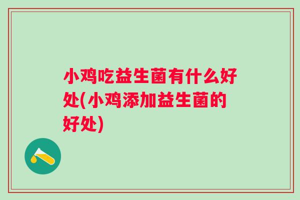 小鸡吃益生菌有什么好处(小鸡添加益生菌的好处)