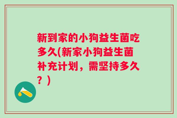 新到家的小狗益生菌吃多久(新家小狗益生菌补充计划，需坚持多久？)