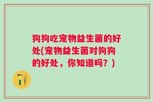 狗狗吃宠物益生菌的好处(宠物益生菌对狗狗的好处,你知道吗?) 狗狗吃宠物益生菌的好处(宠物益生菌对狗狗的好处,你知道吗?)